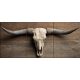 Tile mural with longhorn skull and wooden background